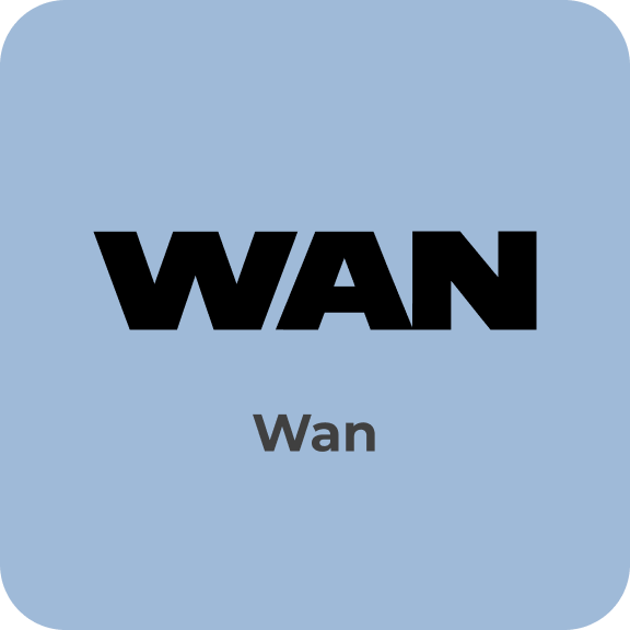 Wan AI